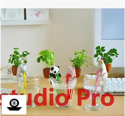 Qoo10 Thirsty Thirsty Mini Hydroponic Plants Suck In Cute Little