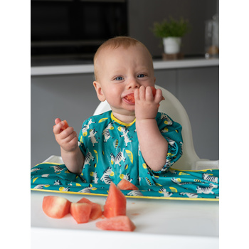 Tidy Tot Cover and Catch Bib –