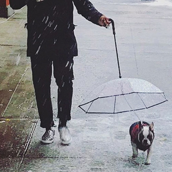 umbrella for dog leash