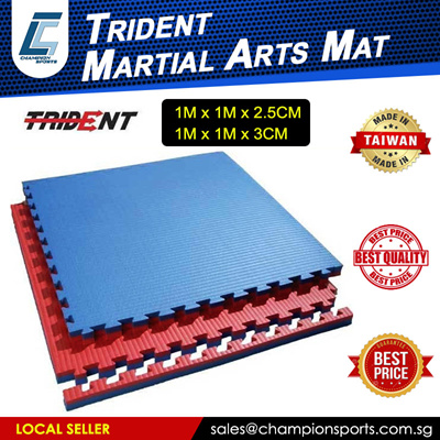 Qoo10 Tatami Mat Sports Equipment