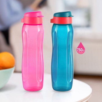 https://gd.image-gmkt.com/TUPPERWARE-H2GO-AUTHENTIC-TUPPERWARE-SG-SELLER-WATER-BOTTLE-TUMBLER-TRANSFORMER/li/043/365/1733365043.g_350-w-et-pj_g.jpg