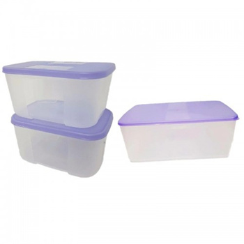 Tupperware Plastic Container- 500 mL, 1.2L 4 Pcs, Purple, Size: Small