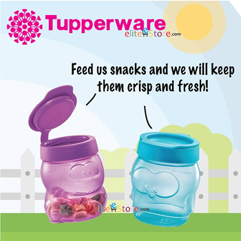 TUPPERWARE Plastic Grocery Container - 300 ml Price in India - Buy  TUPPERWARE Plastic Grocery Container - 300 ml online at