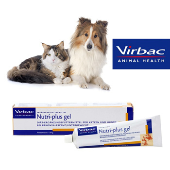 nutri gel cat