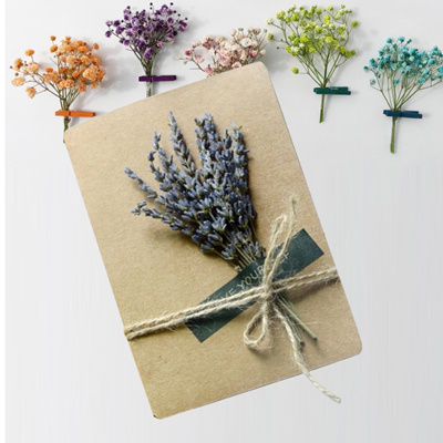 Qoo10 - [W H I T E] Dried Flowers Greeting cards are in TREND ...