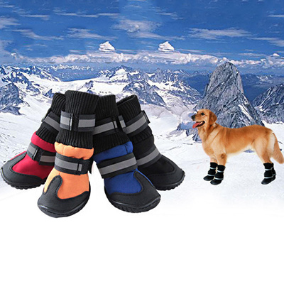 large dog snow shoes