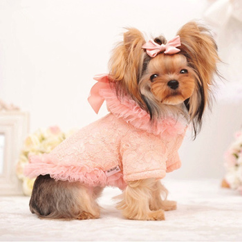 pet dog clothes for winter