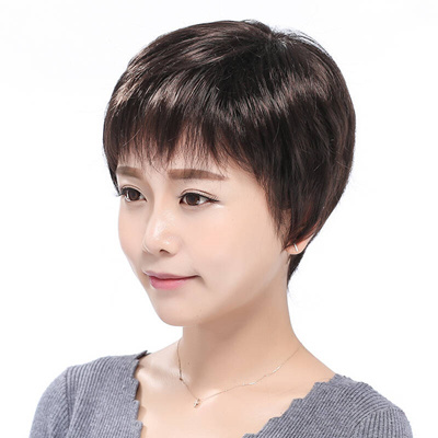 Qoo10 Wigs Fly Jurchen False Hair Female Short Hair Mom Old Wigs