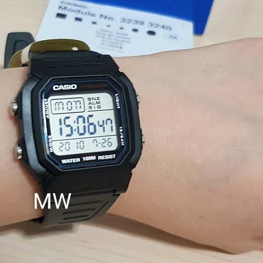 CASIO W-800H (Module 3240) - How to Set the Time, Date, Alarm, Stopwatch  and Dual Time! 