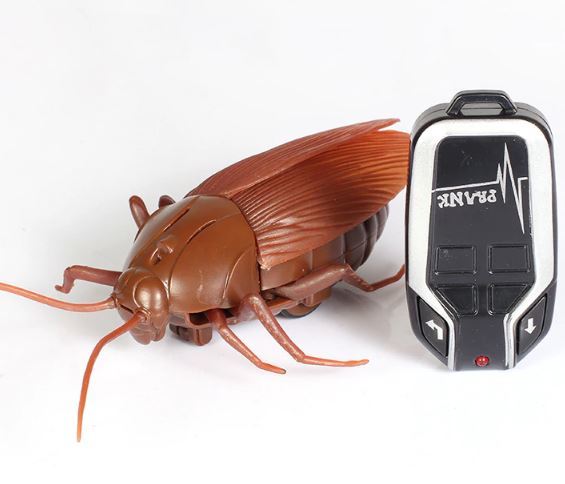 Qoo10 - Cockroach Toys : Toys