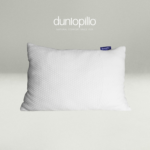 Dunlopillo granulatex outlet pillow