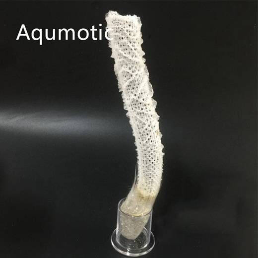 Qoo10 - Aqumotic Natural White Euplectella Venus s Flower Basket From Sea  22cm : Jewelry