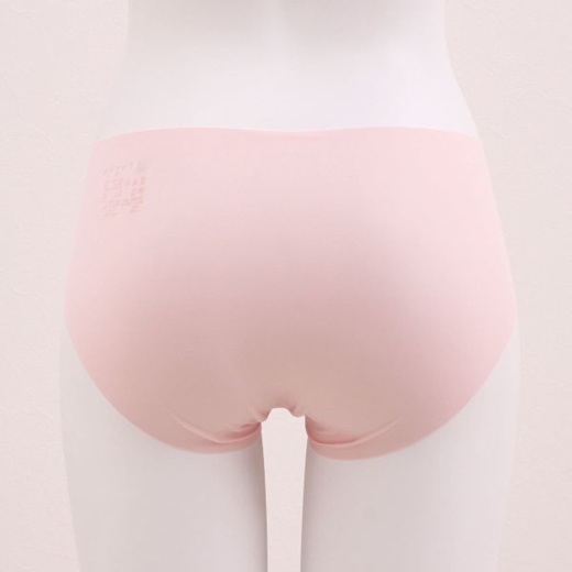 Gunze Tuche Seamless Panties (Made in Japan, Sizes M-LL)(69TV2370)