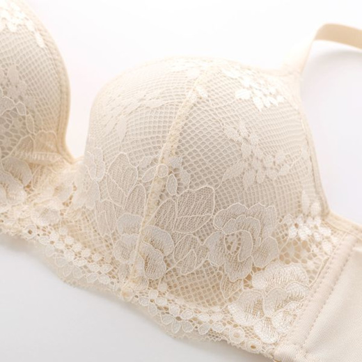 Bra & Panty Set All Lace High-Sides Design (Sizes B-D)(B40910500)