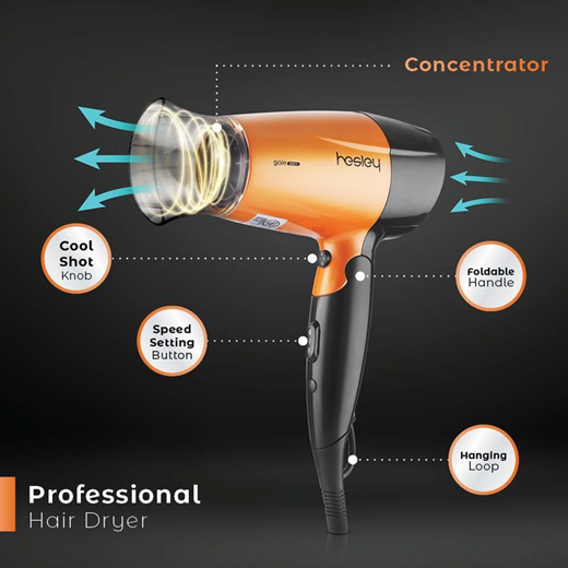 Hesley shop hair dryer