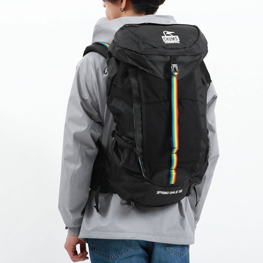 【日本正規品】チャムス リュック CHUMS Spring Dale 35 バックパック デイパック 大容量 35L ウエストポーチ 登山 旅行  レインカバー メンズ レディース CH60-3161