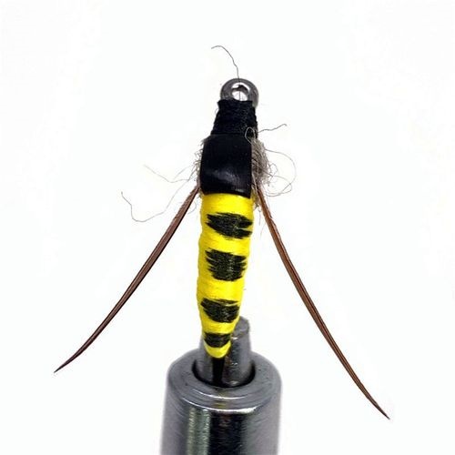 Qoo10 - 5Pcs/Box #6 Nymph Scud Fly For Trout Fishing Artificial Insect Bait  L : Sports Equipment