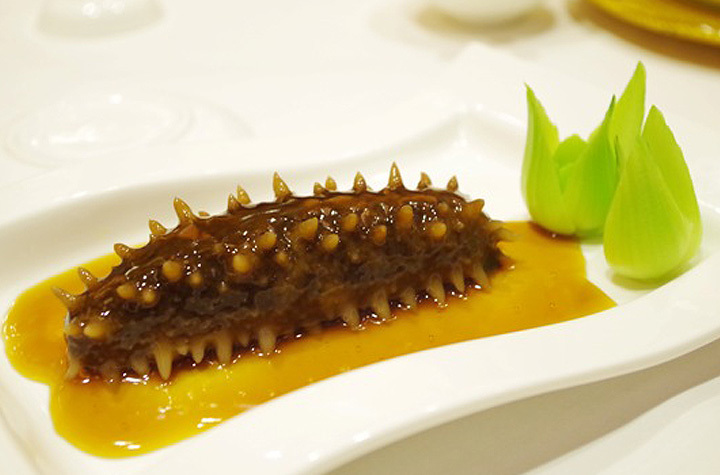 Qoo10 - Spiky Sea Cucumber : Meat & Seafood