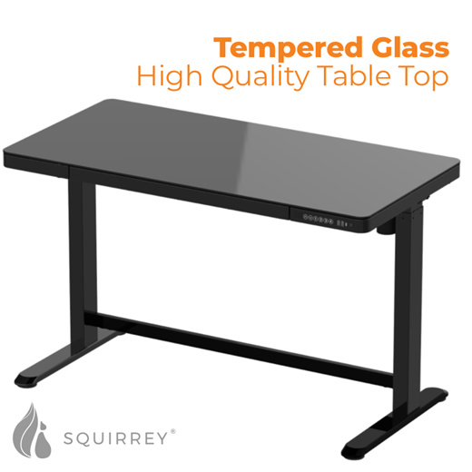 xiaomi squirrey electric height adjustable desk premium edition