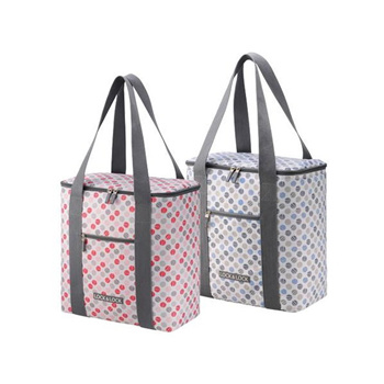 lock & lock cooler bag