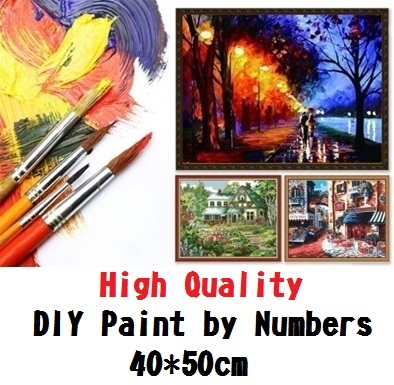 3free1 Diy Paint By Numbers Canvas