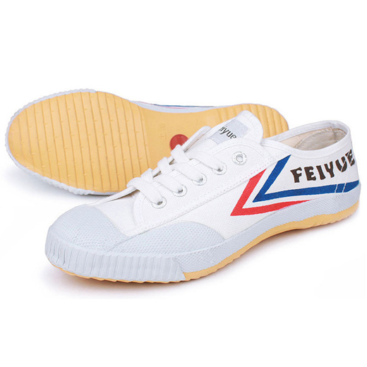 feiyue wushu shoes