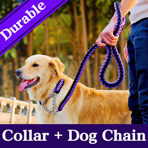 chain leash for large dogs