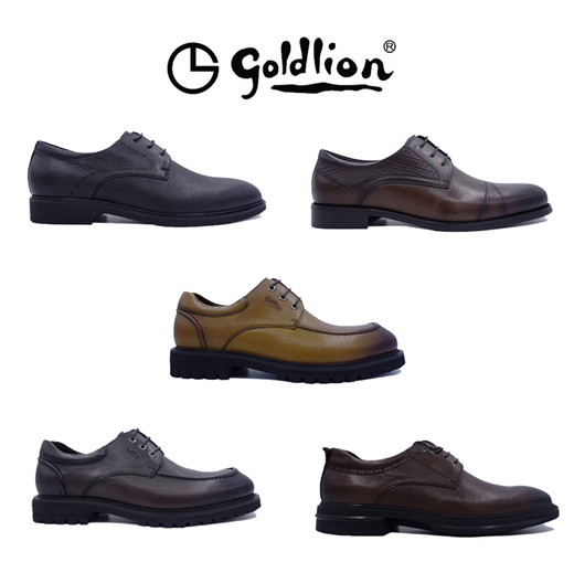 Goldlion shoes deals