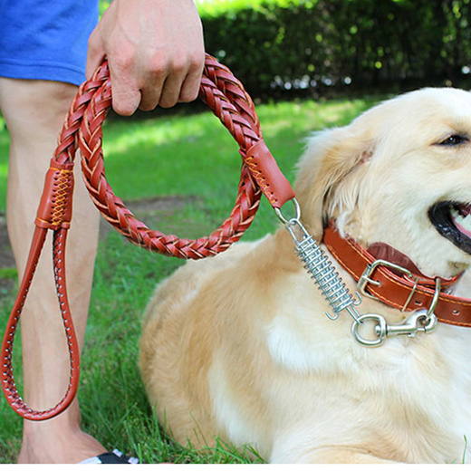 chain dog harnesses for large dogs