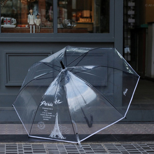 transparent umbrella with lights