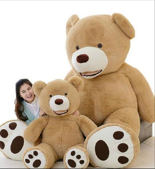 teddy bear usa