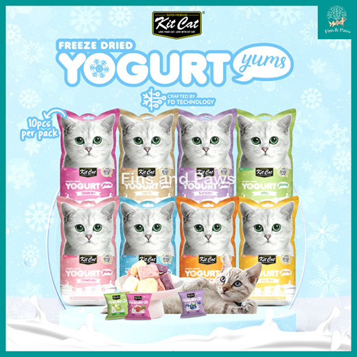 Cat yoghurt on sale