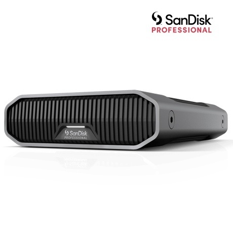 SanDisk External Hard Drive Professional G-Drive 6TB C Type External HDD