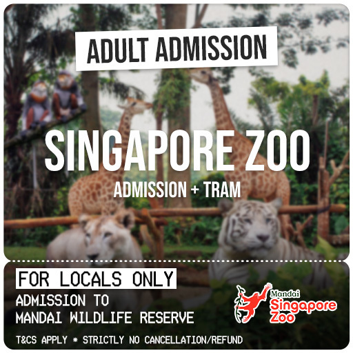 Qoo10 - Singapore Zoo + Art-Zoo [Admission + Tram] - Adult Ticket ...