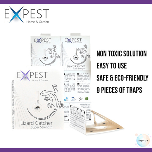 Qoo10 - EXPEST Home Reptile/Lizard Sticky Trap Pest Control Stop Pests  Insect  : Household & Bedd