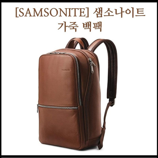 samsonite classic leather backpack