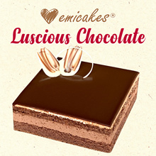 [Emicakes] Luscious Chocolate Cake | Approx 500g 14x14cm