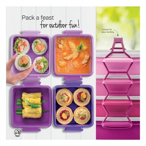 Tupperware Small Goody Box with Cariolier (4) 790ml