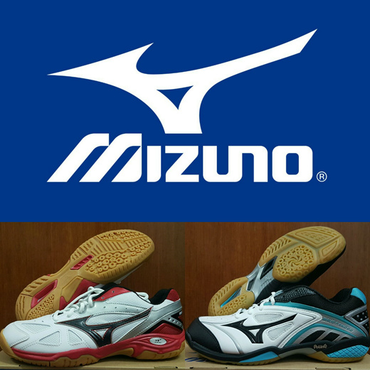 mizuno wave gate