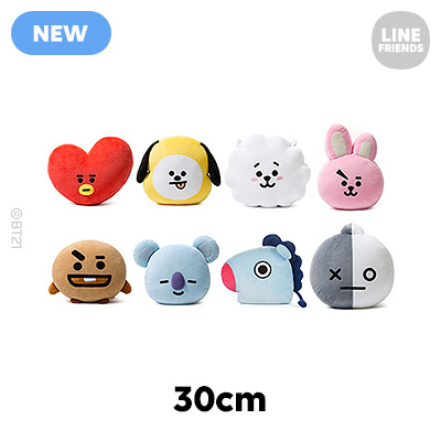 bt21 30cm