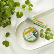 [Free lip balm with purchase over 30,000 won/1+1] Burt's Bees skin soothing multi balm/stick duo summer special price