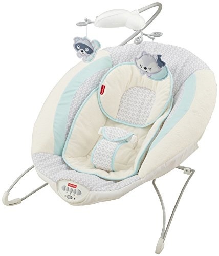 fisher price moonlight meadow bouncer