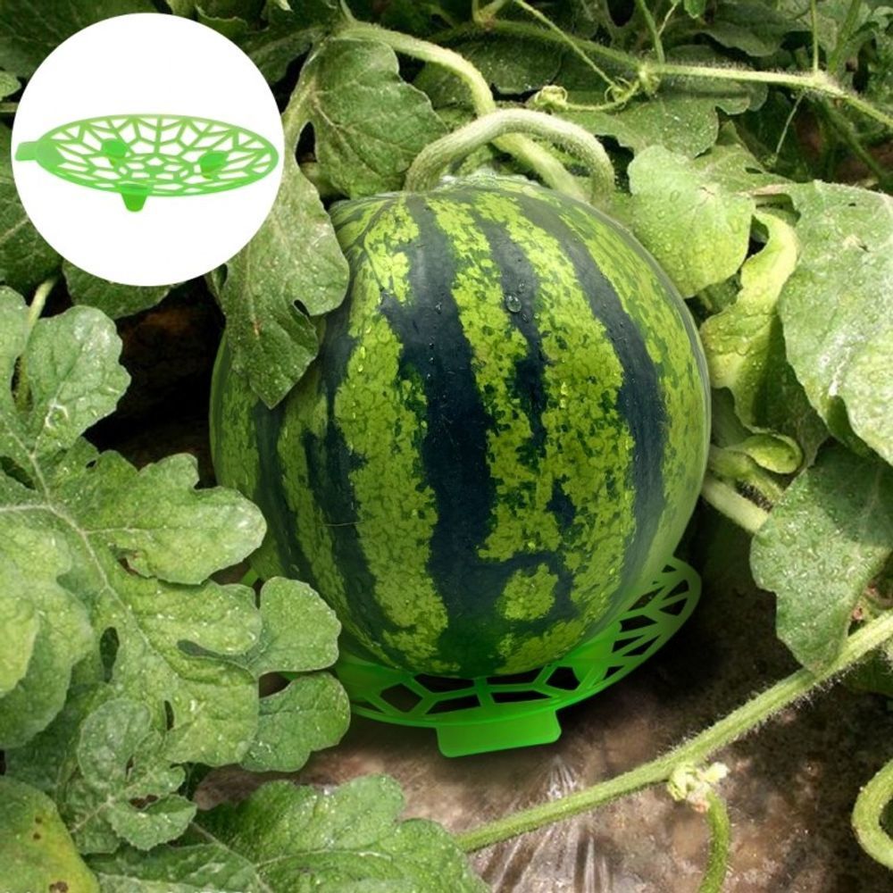 Qoo10 - Pedestal Protector Pumpkin Fruit Stand Melon Melon Crop ...