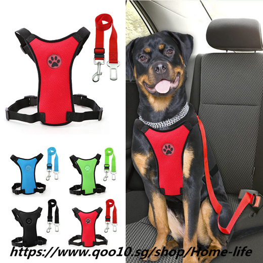 car seat belt for dogs