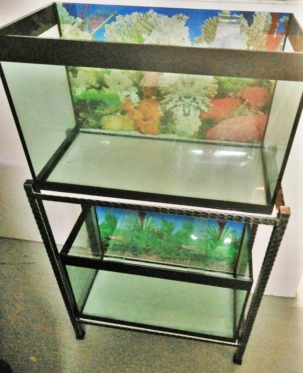 fish tank heels for sale