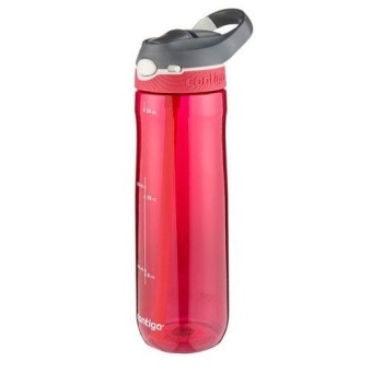 Contigo 24 oz Radiant Orchid Plastic Ashland Autospout Straw Water