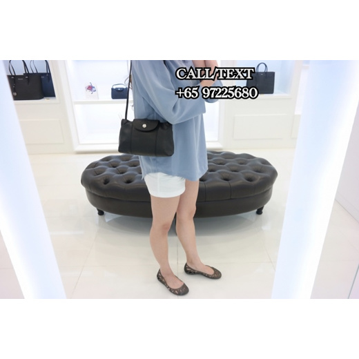 Qoo10 - [Trezo] Longchamp Le Pliage Cuir Small Peony Pink/Navy Blue/Black :  Women's Clothing