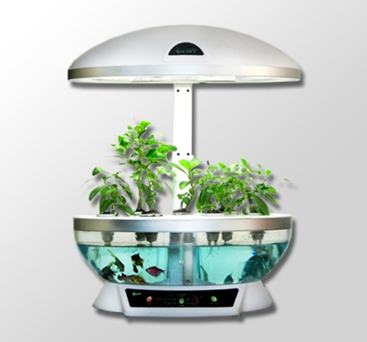 Qoo10 Aerogarden Style Smart Garden Fish Tank Lamp Hydroponic