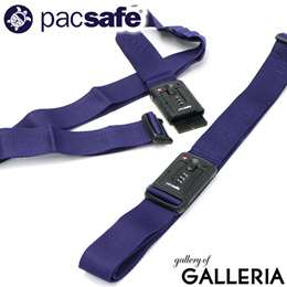 pacsafe strapsafe 100