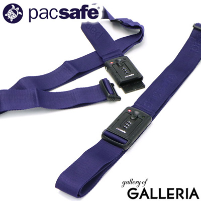 pacsafe strapsafe 100